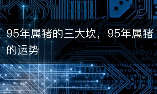 95年属猪的三大坎，95年属猪的运势