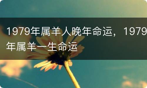 1979年属羊人晚年命运，1979年属羊一生命运
