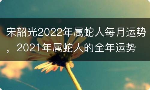 宋韶光2022年属蛇人每月运势，2021年属蛇人的全年运势