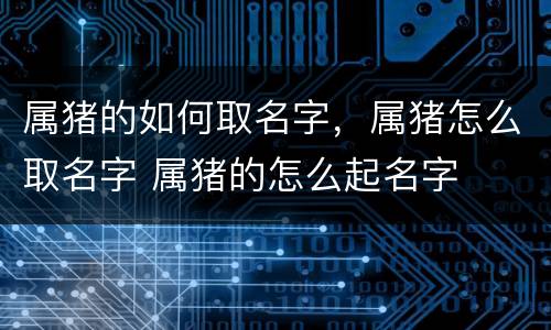 属猪的如何取名字，属猪怎么取名字 属猪的怎么起名字