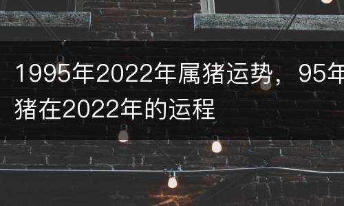 1995年2022年属猪运势，95年猪在2022年的运程