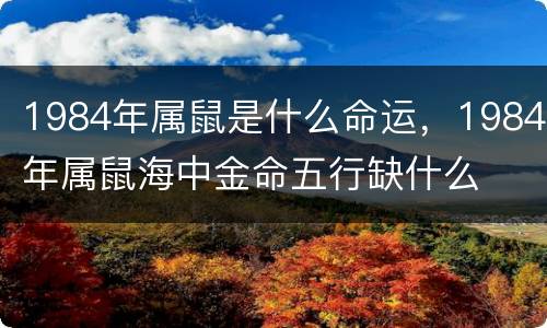 1984年属鼠是什么命运，1984年属鼠海中金命五行缺什么