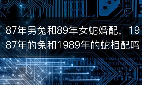 87年男兔和89年女蛇婚配，1987年的兔和1989年的蛇相配吗？