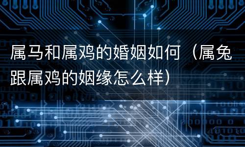 属马和属鸡的婚姻如何（属兔跟属鸡的姻缘怎么样）