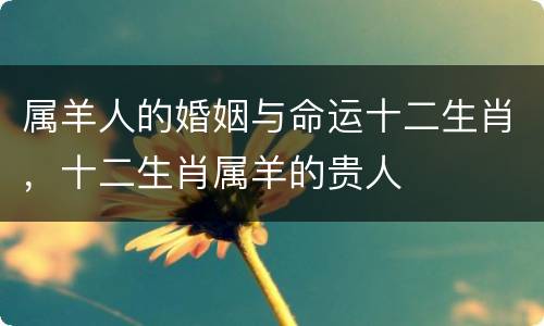 属羊人的婚姻与命运十二生肖，十二生肖属羊的贵人
