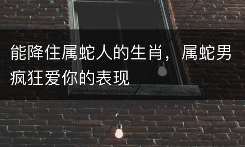 能降住属蛇人的生肖，属蛇男疯狂爱你的表现
