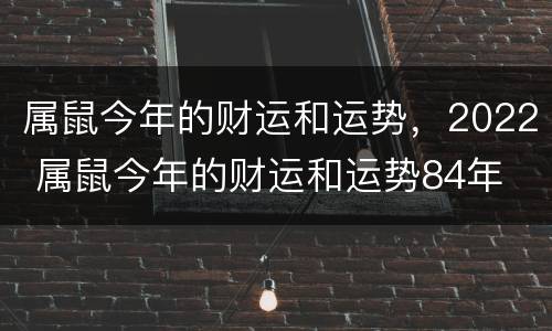 属鼠今年的财运和运势，2022 属鼠今年的财运和运势84年