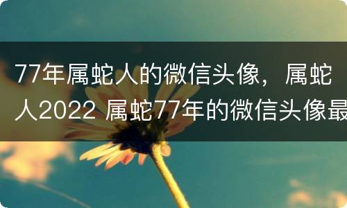 77年属蛇人的微信头像，属蛇人2022 属蛇77年的微信头像最招财