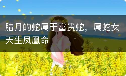腊月的蛇属于富贵蛇，属蛇女天生凤凰命