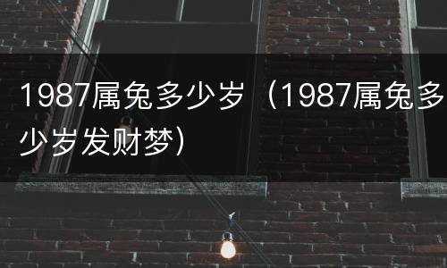 1987属兔多少岁（1987属兔多少岁发财梦）