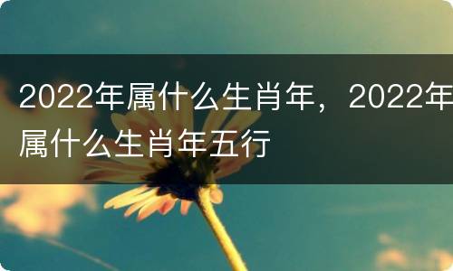 2022年属什么生肖年，2022年属什么生肖年五行