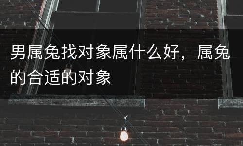 男属兔找对象属什么好，属兔的合适的对象