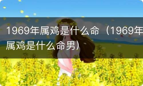 1969年属鸡是什么命（1969年属鸡是什么命男）