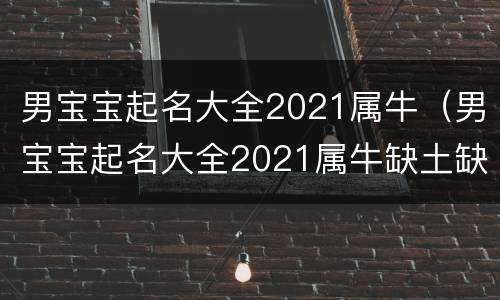 男宝宝起名大全2021属牛（男宝宝起名大全2021属牛缺土缺火）