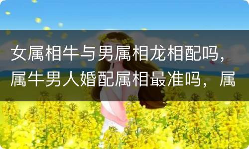 女属相牛与男属相龙相配吗，属牛男人婚配属相最准吗，属牛的男人