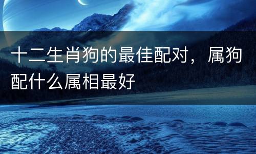 十二生肖狗的最佳配对，属狗配什么属相最好