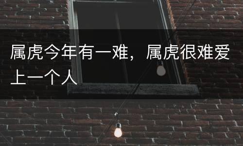 属虎今年有一难，属虎很难爱上一个人