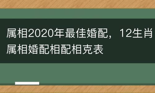 属相2020年最佳婚配，12生肖属相婚配相配相克表