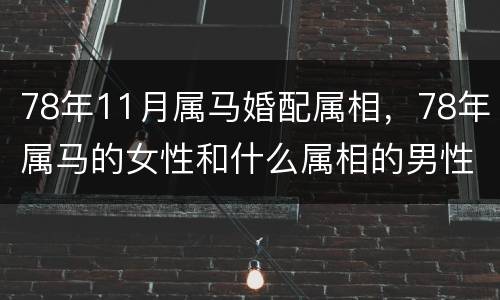 78年11月属马婚配属相，78年属马的女性和什么属相的男性比较相配