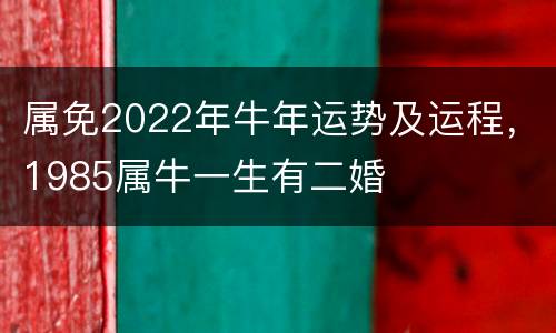 属免2022年牛年运势及运程，1985属牛一生有二婚