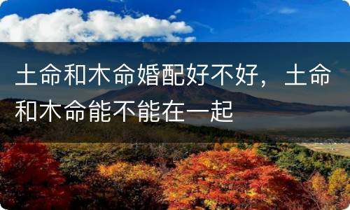土命和木命婚配好不好，土命和木命能不能在一起