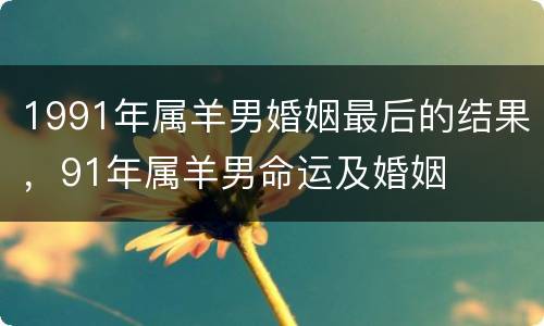 1991年属羊男婚姻最后的结果，91年属羊男命运及婚姻