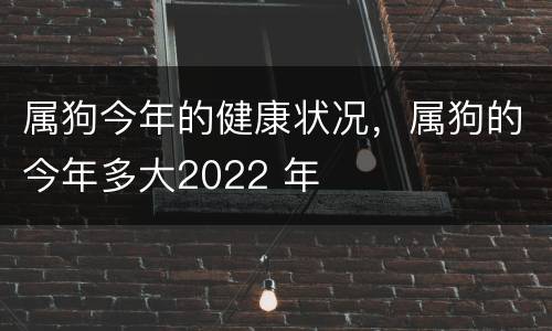 属狗今年的健康状况，属狗的今年多大2022 年
