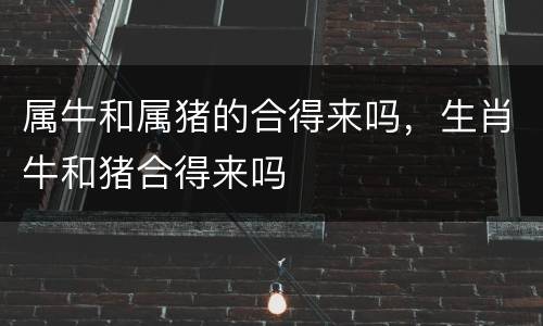 属牛和属猪的合得来吗，生肖牛和猪合得来吗