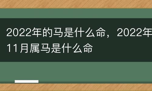 2022年的马是什么命，2022年11月属马是什么命