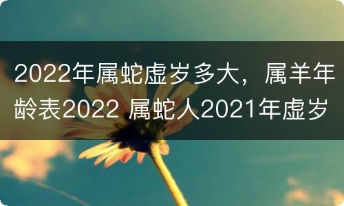 2022年属蛇虚岁多大，属羊年龄表2022 属蛇人2021年虚岁