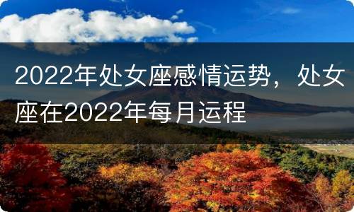 2022年处女座感情运势，处女座在2022年每月运程