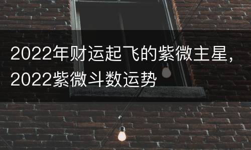 2022年财运起飞的紫微主星，2022紫微斗数运势
