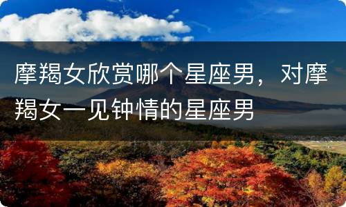 摩羯女欣赏哪个星座男，对摩羯女一见钟情的星座男