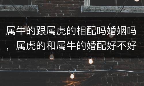 属牛的跟属虎的相配吗婚姻吗，属虎的和属牛的婚配好不好
