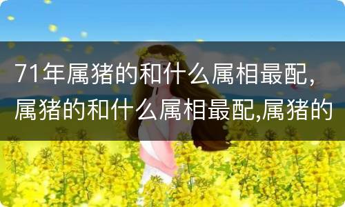 71年属猪的和什么属相最配，属猪的和什么属相最配,属猪的和什