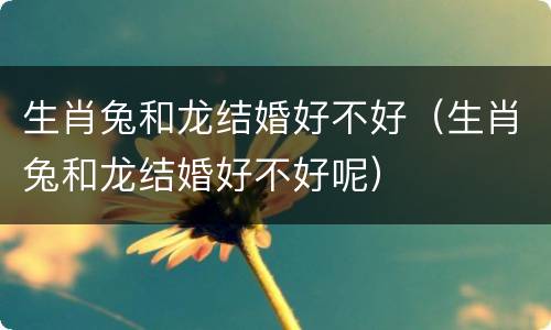 生肖兔和龙结婚好不好（生肖兔和龙结婚好不好呢）