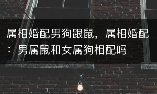属相婚配男狗跟鼠，属相婚配：男属鼠和女属狗相配吗