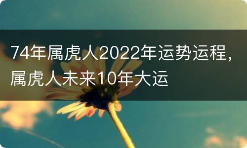 74年属虎人2022年运势运程，属虎人未来10年大运