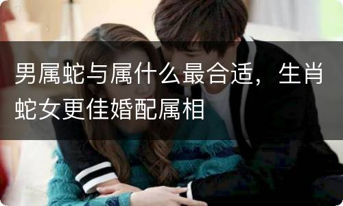 男属蛇与属什么最合适，生肖蛇女更佳婚配属相