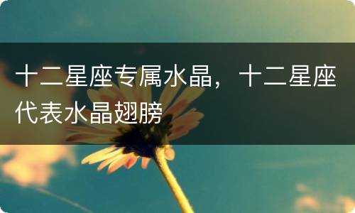 十二星座专属水晶，十二星座代表水晶翅膀
