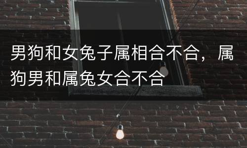 男狗和女兔子属相合不合，属狗男和属兔女合不合