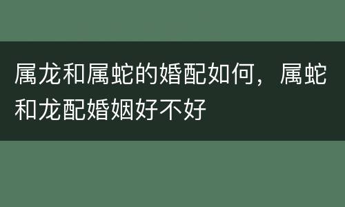 属龙和属蛇的婚配如何，属蛇和龙配婚姻好不好