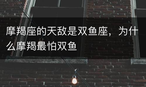 摩羯座的天敌是双鱼座，为什么摩羯最怕双鱼