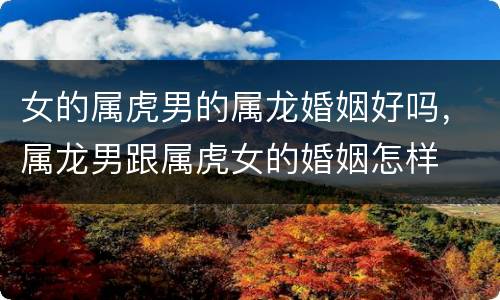 女的属虎男的属龙婚姻好吗，属龙男跟属虎女的婚姻怎样