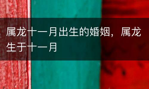 属龙十一月出生的婚姻，属龙生于十一月