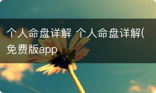 个人命盘详解 个人命盘详解(免费版app