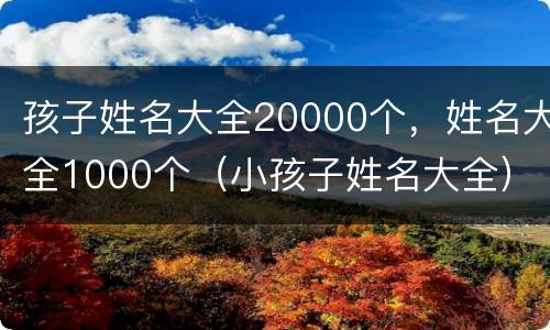 孩子姓名大全20000个，姓名大全1000个（小孩子姓名大全）