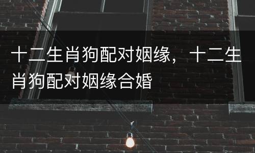 十二生肖狗配对姻缘，十二生肖狗配对姻缘合婚