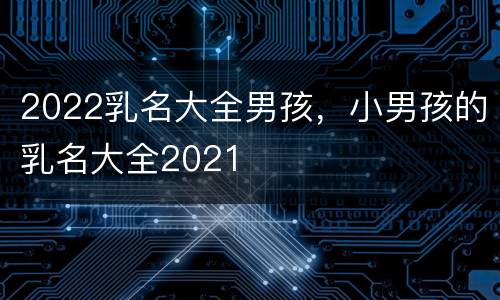 2022乳名大全男孩，小男孩的乳名大全2021