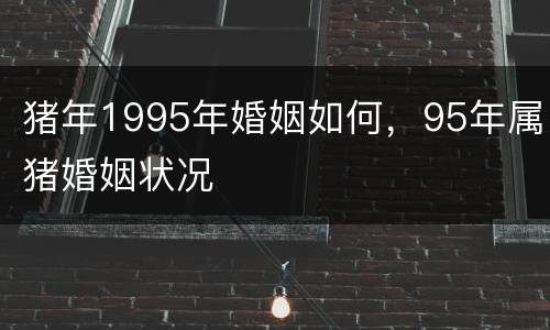 猪年1995年婚姻如何，95年属猪婚姻状况